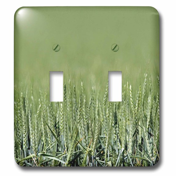 3dRose, Unripe wheat field agriculture, Pendleton Oregon - US38 DFR0085 - David R. Frazier, double toggle switch