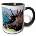 thumbnail image 1 of 3drose, Up Close and Personal with a Moose, Alaska Wildlife Center, Alaska, 11oz Two-tone Black Mug, 1 of 6