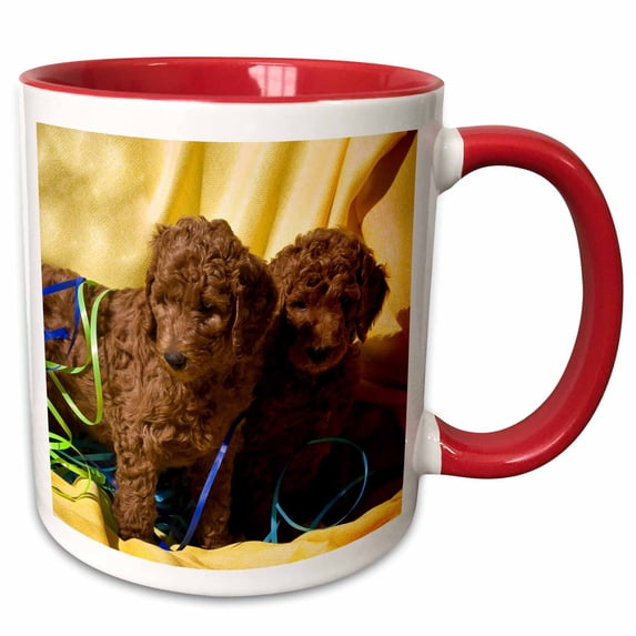 3drose, Usa, California. Standard Poodle Puppies with Yellow Background., 15oz Two-tone Red Mug