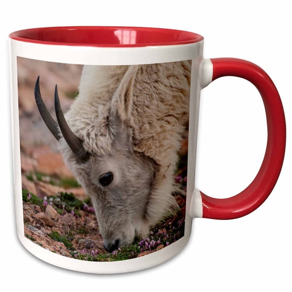 3drose, Usa, Colorado, Mt. Evans. Mountain Goat Grazing., 11oz Two-tone Red Mug