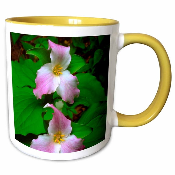 3drose, Usa, Tennessee, Great Smoky Mountains Np. Trillium Wildflowers., 15oz Two-tone Yellow Mug