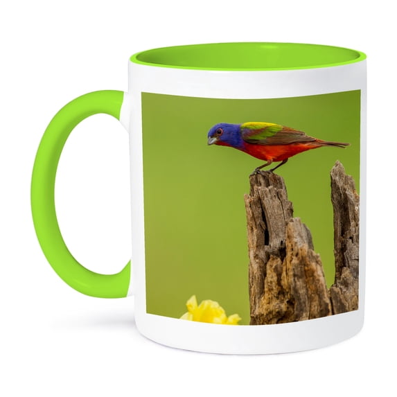 3dRose, USA, Texas, Hidalgo County. painted bunting on stump., 11oz Two-Tone Green Mug