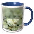 thumbnail image 1 of 3drose, Usa, Washington, Seabeck. Sea Shell and Beach Rocks., 11oz Two-tone Blue Mug, 1 of 6