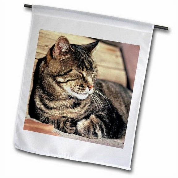 3dRose, Utah, Capitol Reef NP. Sleeping tabby cat - US45 RER0114 - Ric Ergenbright, 18 x 27 inch Garden Flag