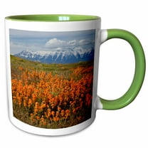 3drose, Utah, Usa, Common Globmallow on Slopes. Mt. Timpanogos in Distance., 11oz Two-tone Green Mug