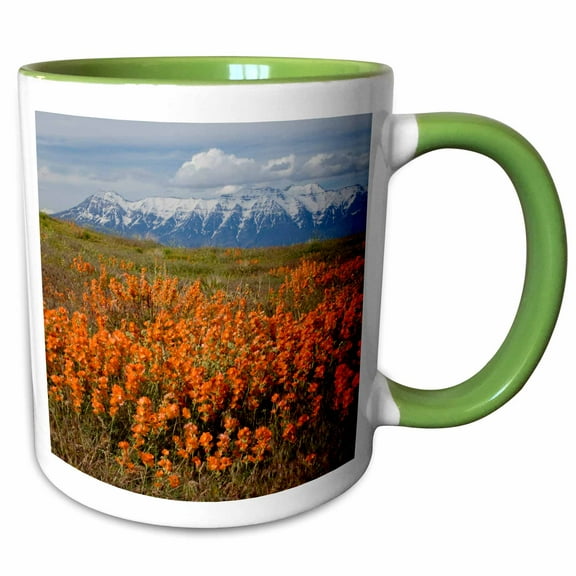 3drose, Utah, Usa, Common Globmallow on Slopes. Mt. Timpanogos in Distance., 11oz Two-tone Green Mug