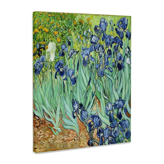 3dRose, Van Gogh Painting Irises II Painting, Museum Grade Canvas Wrap 11x14