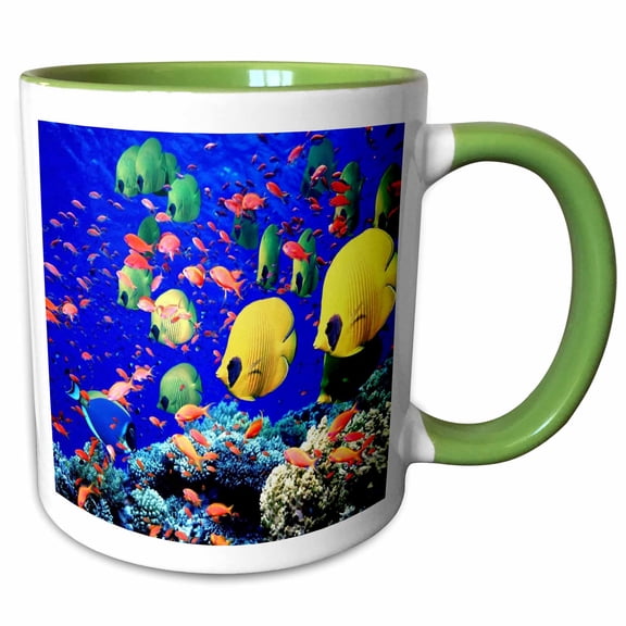 3drose, Very Colorful Fish, 11oz Two-tone Green Mug