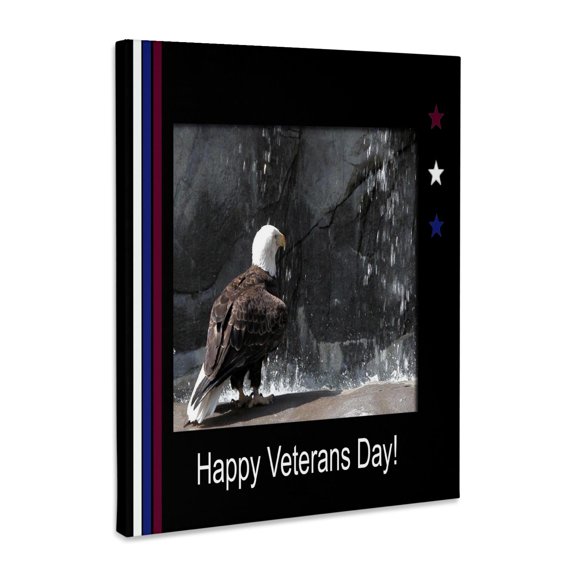 3dRose, Veterans Day, Eagle by Waterfall, Museum Grade Canvas Wrap 11x14