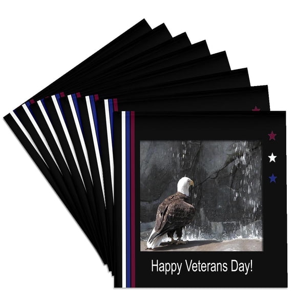 3dRose, Veterans Day, Eagle by Waterfall, Set of 8 Ceramic Tile Coasters