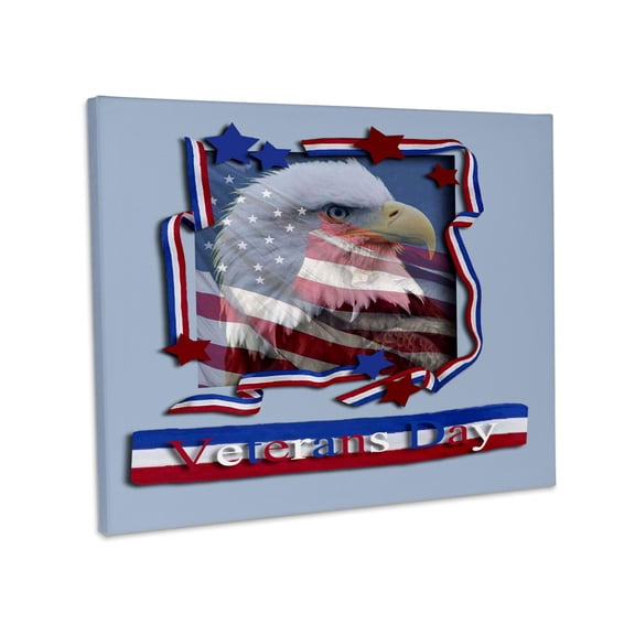 3dRose, Veterans Day Patriotic Eagle, Museum Grade Canvas Wrap 10x8
