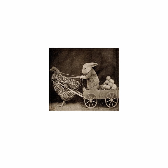 3dRose, Victorian Photo Rooster Pulling Bunny, 11x12 Wash Cloth for Face and Body
