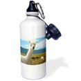thumbnail image 1 of 3dRose, Victory Ranch Alpaca farm, Mora, New Mexico - US32 JMR0359 - Julien McRoberts, Flip Straw 21oz Water Bottle, 1 of 1