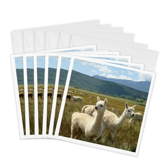 3drose, Victory Ranch Alpaca Farm, Mora, New Mexico - Us32 Jmr0361 - Julien Mcroberts, 6 Greeting Cards with Envelopes