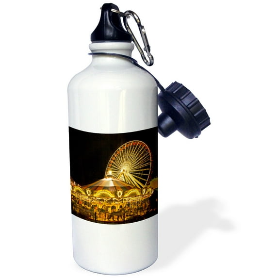 3dRose, Viewing the Navy Pier in Chicago, Illinois - US14 JRE0001 - Joe Restuccia III, Flip Straw 21oz Water Bottle