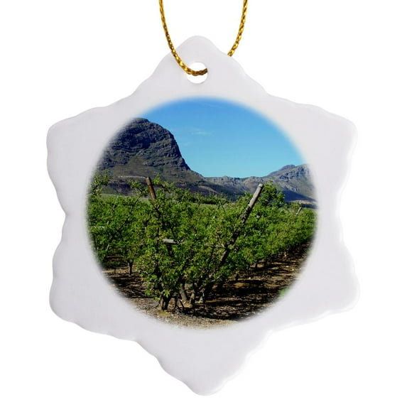 3drose, Vineyards of Franschoek, Western Cape, South Africa - Af42 Mgl0019 - Miva Stock, 3 inch Snowflake Porcelain Ornament