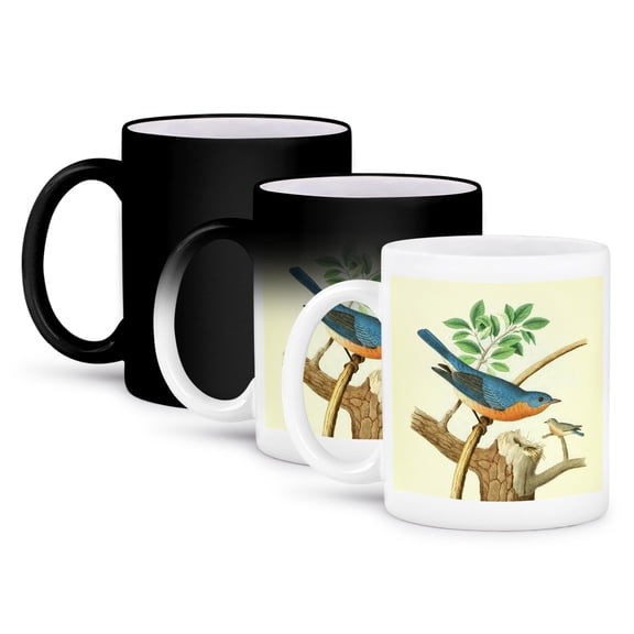 3dRose, Vintage Bird Print Eastern Bluebird art Wild Blue Birds illustration, 11oz Magic Transforming Mug