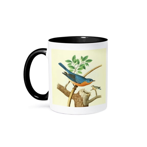 3dRose, Vintage Bird Print Eastern Bluebird art Wild Blue Birds illustration, 11oz Two-Tone Black Mug