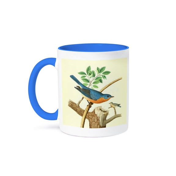 3dRose, Vintage Bird Print Eastern Bluebird art Wild Blue Birds illustration, 15oz Two-Tone Blue Mug