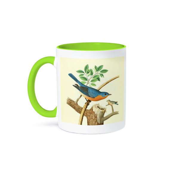 3dRose, Vintage Bird Print Eastern Bluebird art Wild Blue Birds illustration, 15oz Two-Tone Green Mug