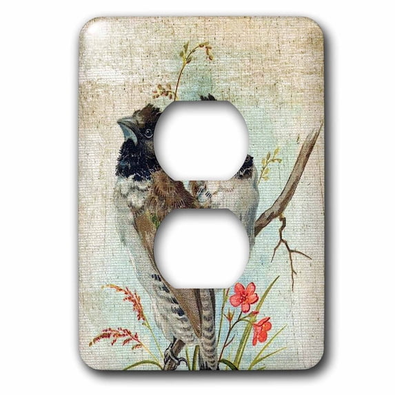 3dRose Vintage Birds With Texture Added by Angelandspot - 2 Plug Outlet Cover (lsp_10877_6)