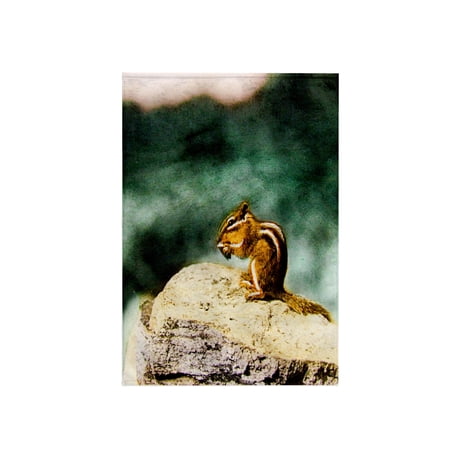 3dRose, Vintage Common Eastern Chipmunk Hand Colored Magic Lantern Slide, 15x22 Hand Towel