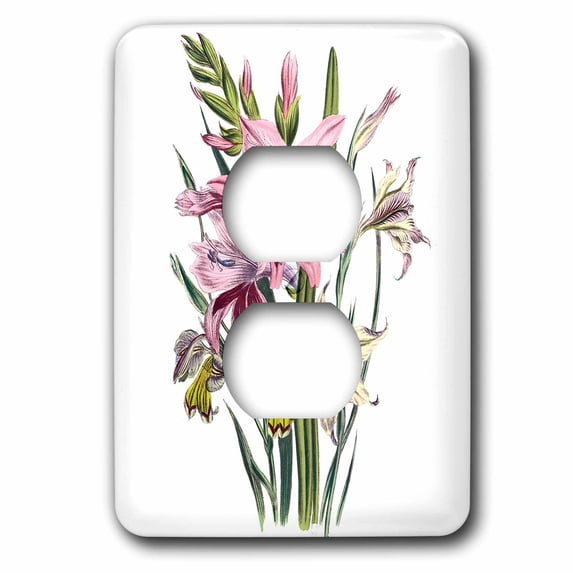 3dRose, Vintage Flowers gladiolus in Cream and Pink, 2 plug outlet cover