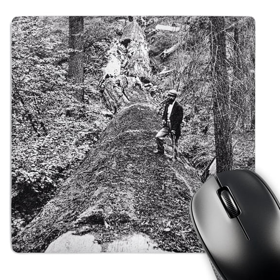 3dRose, Vintage Lumberjack with Axe on Top of Fallen Redwood Tree, MousePad