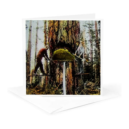 3dRose, Vintage Lumberjacks Felling Large Oak Vancouver Canada Hand Colored, 1 Greeting Card with envelope