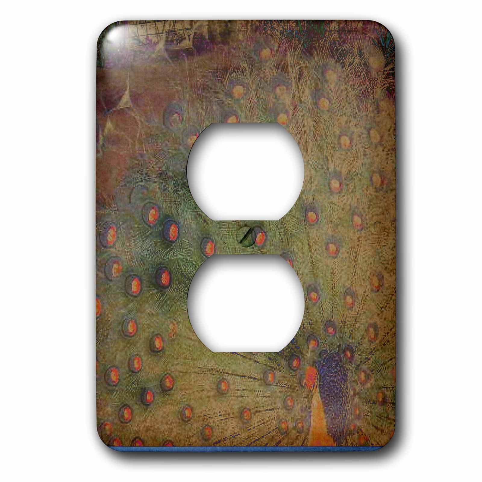 3dRose, Vintage Peacock Feathers Art Animals Tropical Birds, 2 plug outlet cover