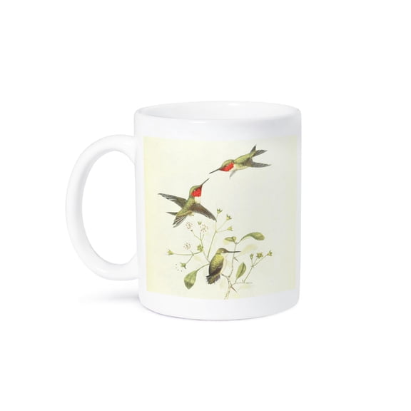 3dRose, Vintage Ruby Throated Hummingbird Birds Art Print for Bird Lovers, 11oz Mug
