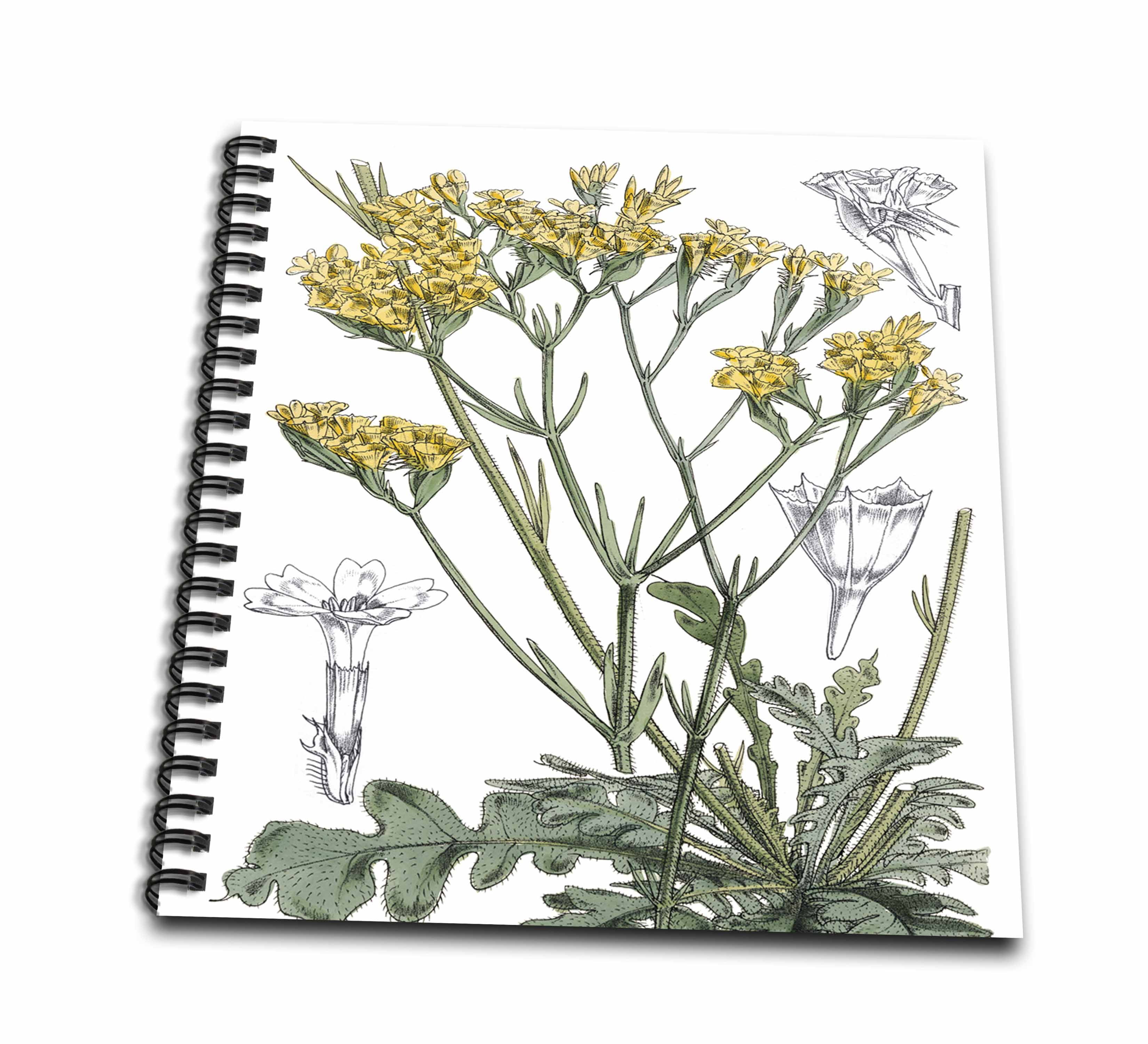 3dRose, Vintage Yellow English Garden Flower Illustration, Memory Book 12 x 12 inch