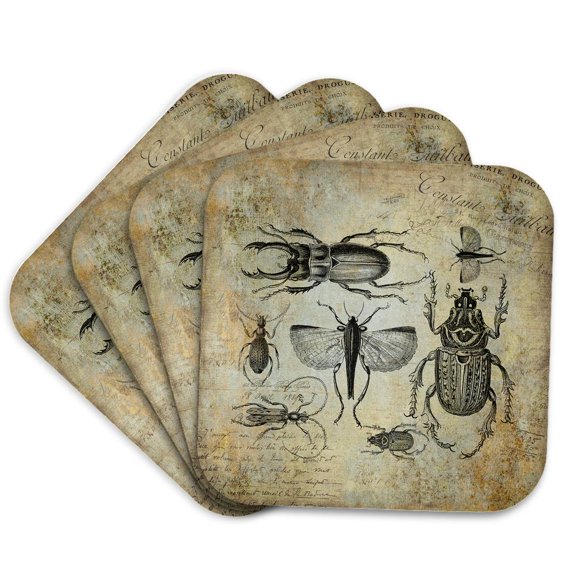 3dRose, Vintage bugs and beetle illustration, Set of 4 Coasters - Soft