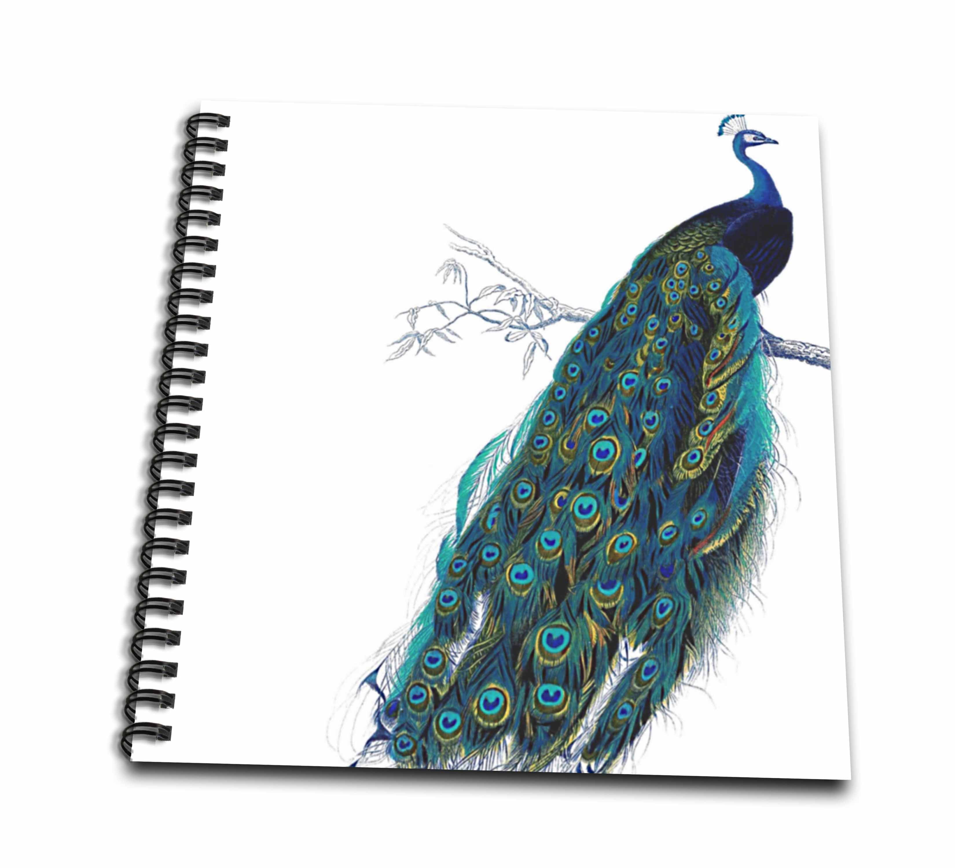 3dRose, Vintage peacock art - blue and green elegant stylish bird on branch beautiful tail feathers - white, Memory Book 12 x 12 inch