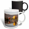 thumbnail image 1 of 3drose, Wa, Prosser, Hot Air Balloons Over Yakima River - Us48 Jwi0930 - Jamie and Judy Wild, 11oz Magic Transforming Mug, 1 of 7