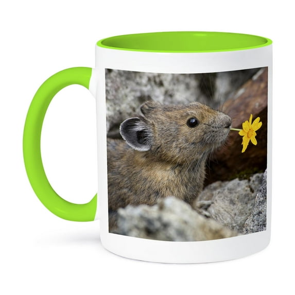 3dRose, Washington, North Cascades NP, Pika wildlife - US48 BJA0235 - Jaynes Gallery, 11oz Two-Tone Green Mug