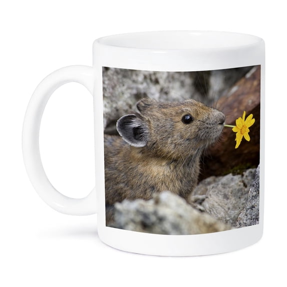 3dRose, Washington, North Cascades NP, Pika wildlife - US48 BJA0235 - Jaynes Gallery, 15oz Mug