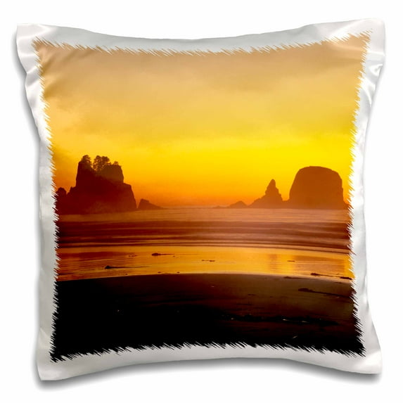 3dRose, Washington, Olympic NP, Point of the Arches, Beach - US48 RTI0115 - Rob Tilley, 16x16 inch Pillow Case