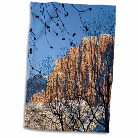 3dRose, Watchman, Zion National Park, Utah, USA - US45 SSM0408 - Scott T. Smith, 15x22 Hand Towel
