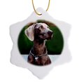 thumbnail image 1 of 3drose, Weimaraner, 3 inch Snowflake Porcelain Ornament, 1 of 7