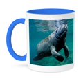 thumbnail image 1 of 3dRose, West Indian Manatee Trichechus manatus in Florida, USA, 11oz Two-Tone Blue Mug, 1 of 7