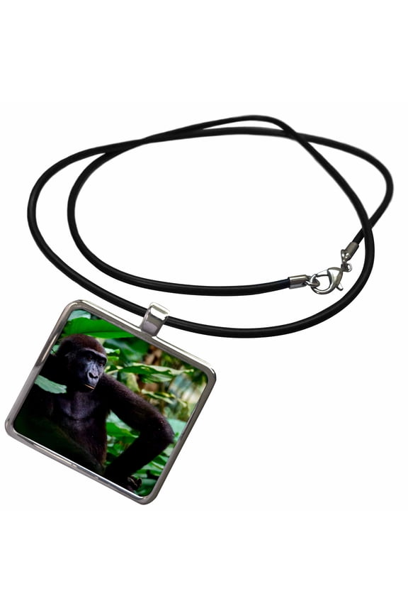 , Western lowland gorilla contemplating life. Odzala Kokoua NP. Congo, Necklace With Rectangle Pendant