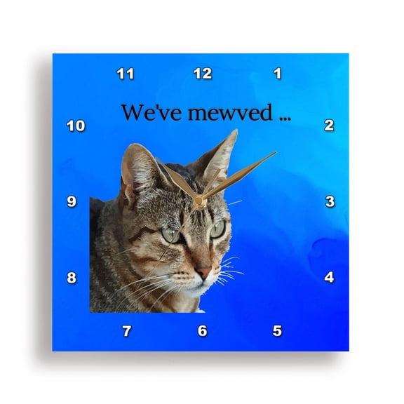 3dRose, Weve Mewved Meme Stunning Tabby Cat Close Up Portrait Vector, 15x15 Wall Clock