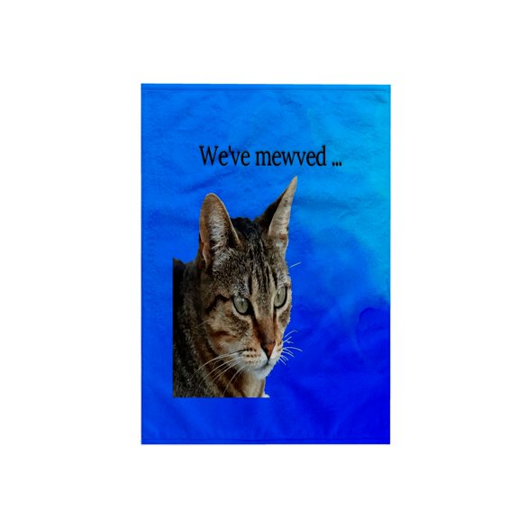 3dRose, Weve Mewved Meme Stunning Tabby Cat Close Up Portrait Vector, 15x22 Hand Towel