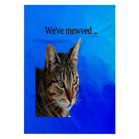 3dRose, Weve Mewved Meme Stunning Tabby Cat Close Up Portrait Vector, 22x30 Bath Hand Pool Towel