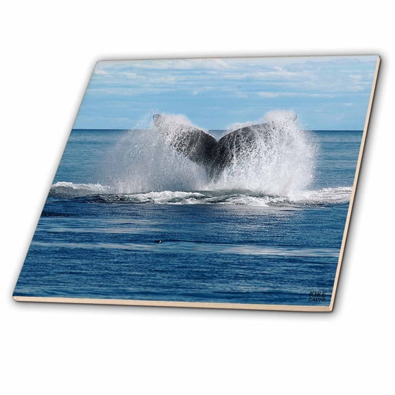 3dRose, Whale, 4 Inch Ceramic Tile