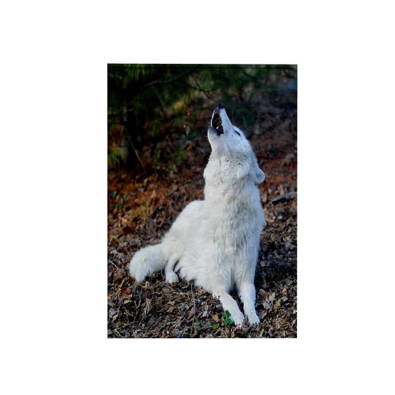 3dRose, White Arctic Wolf, howling 2, 15x22 Hand Towel