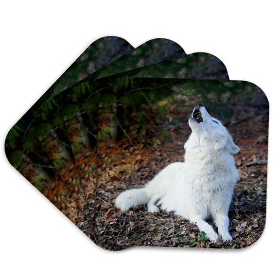 3drose, White Arctic Wolf, Howling 2, Set of 4 Coasters - Soft