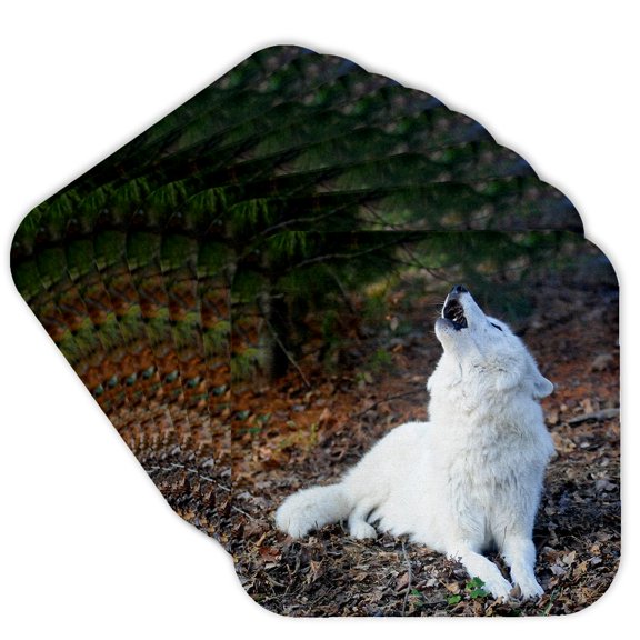 3drose, White Arctic Wolf, Howling 2, Set of 8 Coasters - Soft