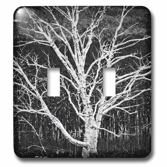 3dRose, White Birch Tree, double toggle switch